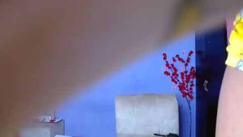 Noha online show from September 13, 4:56 am