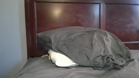 Snapshot of dbm1620 chatting on November 2, 8:33 pm dbm1620 online show from November 2, 8:33 pm