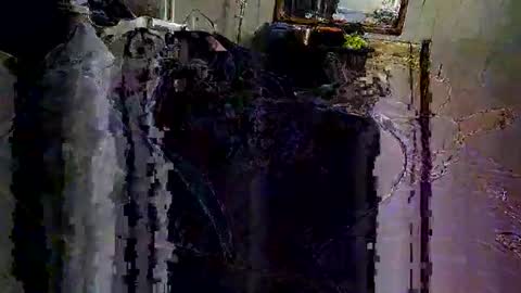 decoyx5o5 online show from February 6, 6:40 am