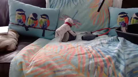 deeperjohnny online show from October 21, 3:35 pm