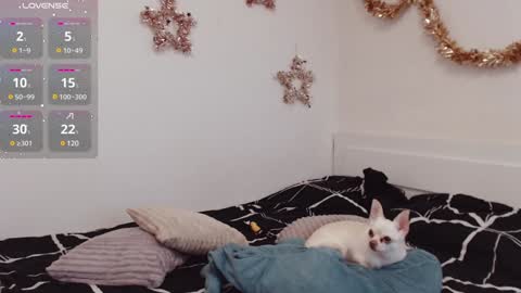 Demi. not your babybabebb and other shit online show from December 25, 10:50 am