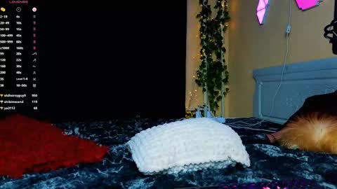 Demmi online show from February 15, 12:48 am