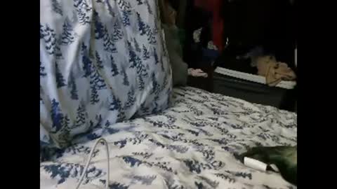 deroseblack online show from January 13, 4:50 am