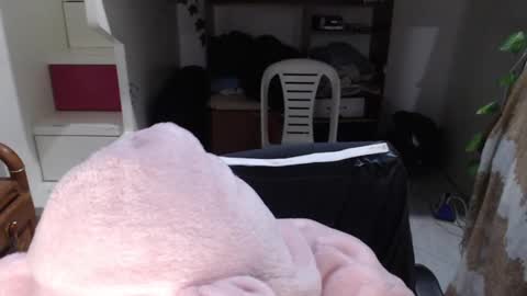 diana online show from January 11, 2:04 pm