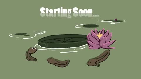 diana online show from January 18, 2:55 pm