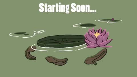 diana online show from January 30, 8:31 pm