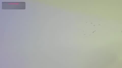 Dick Griffith online show from October 17, 2:19 pm