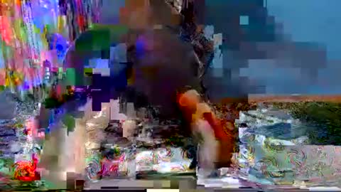 dickrater24 online show from December 21, 1:02 am