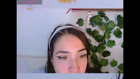 Snapshot of dicmonlu11 chatting on December 16, 3:33 am Dicmonlu online show from December 16, 3:33 am