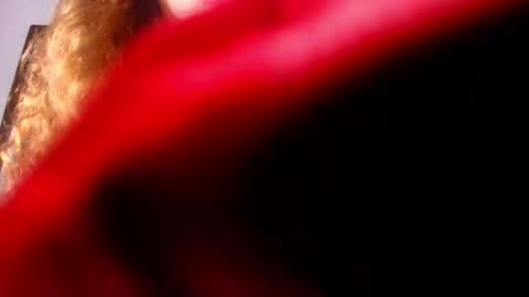 Diane online show from February 26, 7:16 pm