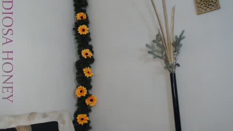 Diosa online show from January 29, 8:46 pm