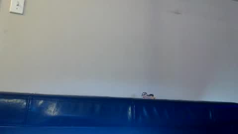 Daisy Wylde online show from November 14, 1:32 pm