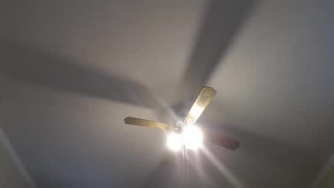 Your Best Worst Nightmare online show from December 16, 8:37 pm