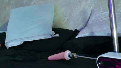 Snapshot of dixie_grey1 chatting on September 11, 2:50 pm Sofia online show from September 11, 2:50 pm