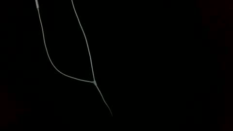 Snapshot of doctor_luv_69 chatting on January 1, 9:20 pm doctor_luv_69 online show from January 1, 9:20 pm