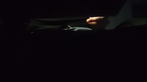 Snapshot of domcook147 chatting on January 4, 12:05 am domcook147 online show from January 4, 12:05 am