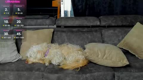 SANTI  independent model online show from February 20, 3:12 am