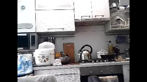 Dorrie Ann online show from March 1, 8:13 am