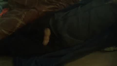 Hello  welcome to Slutsville  I am the Naked Chef  really  but you may call me Peter online show from February 11, 10:04 am