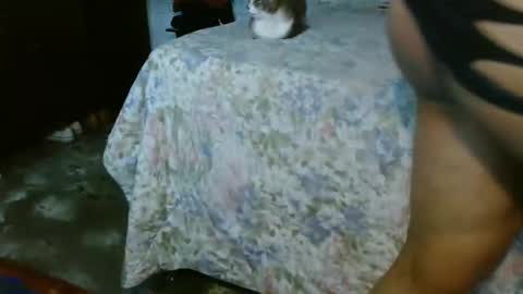 dreamreal online show from October 31, 2:07 pm