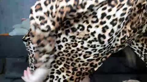 Snapshot of dreamesoul chatting on November 7, 11:32 am dreamesoul online show from November 7, 11:32 am