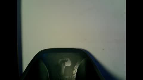 drippingpussy__ online show from October 15, 11:21 am