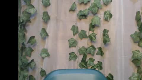 linda online show from September 14, 8:08 pm