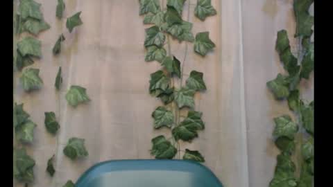 linda online show from September 16, 3:02 pm