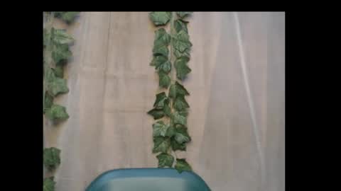 linda online show from October 15, 12:55 am