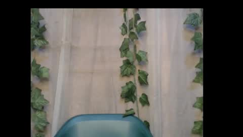 linda online show from October 30, 1:12 pm