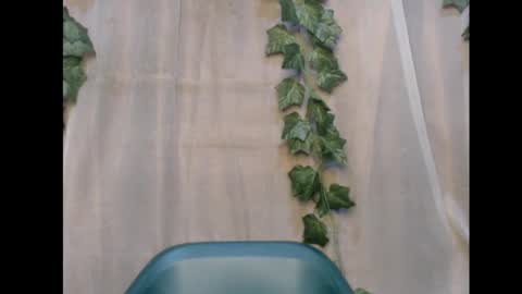 linda online show from November 12, 1:50 am