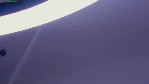 Polly day and Amelia night online show from December 17, 8:54 pm