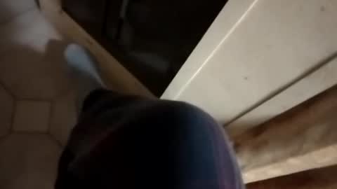 dthedog12 online show from October 16, 11:17 pm