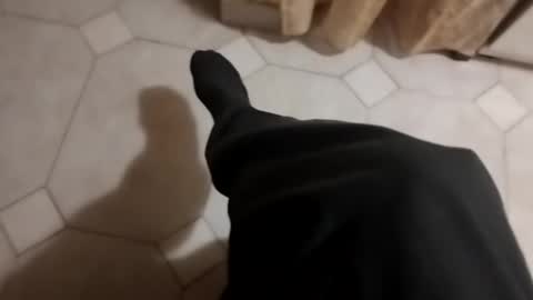 dthedog12 online show from October 17, 9:17 pm