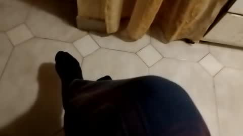 dthedog12 online show from October 27, 12:15 am