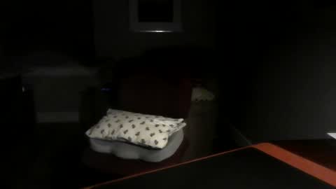 Snapshot of dubl55nikl chatting on December 3, 7:43 am DublNikl online show from December 3, 7:43 am