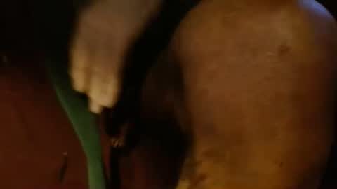 Snapshot of dunany101 chatting on February 26, 10:53 pm dunany101 online show from February 26, 10:53 pm