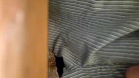 dVe1oPe online show from January 6, 9:30 am