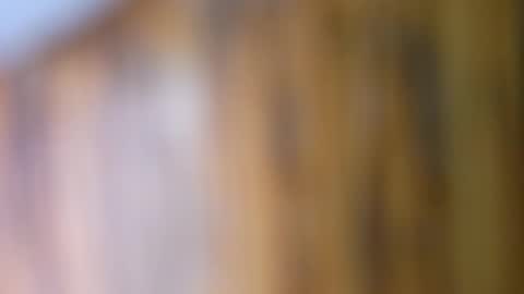 dVe1oPe online show from September 10, 9:42 am