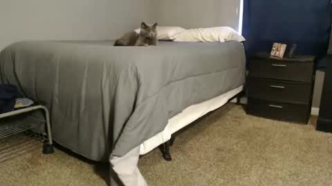 dwhitey4u online show from December 31, 8:02 pm