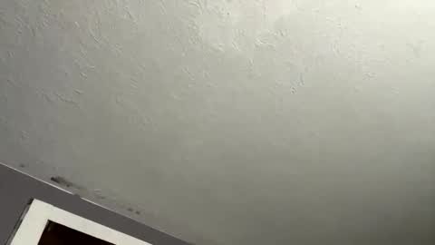 nastyboi801 online show from November 27, 8:05 am