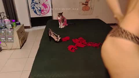 Elektra and Konan online show from September 20, 12:06 pm