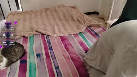 Elektra and Konan online show from November 28, 1:25 pm