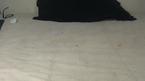 elgsslt online show from October 20, 10:49 am