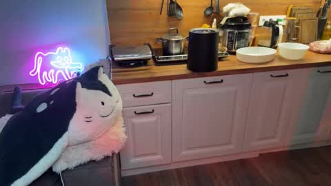 Elisa North online show from September 25, 4:11 pm