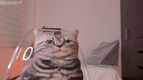 Snapshot of elise_77 chatting on December 7, 7:16 am Eli online show from December 7, 7:16 am