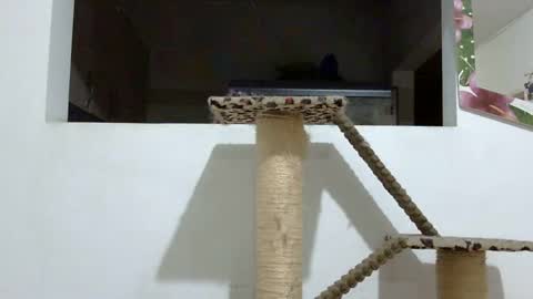 Elizabeth Martinez  online show from January 18, 2:03 am