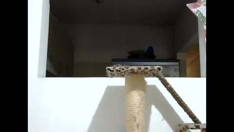 Elizabeth Martinez  online show from January 19, 8:09 pm