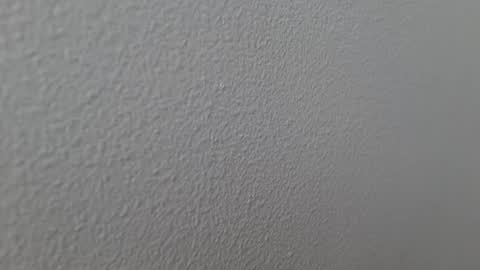 elosocazador online show from December 13, 7:43 pm