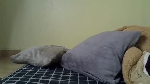 flo online show from December 20, 4:41 am